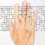 How do our social circumstances impact health in later life?