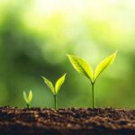 HRB invests €7 million to nurture a talented new generation of academic researchers